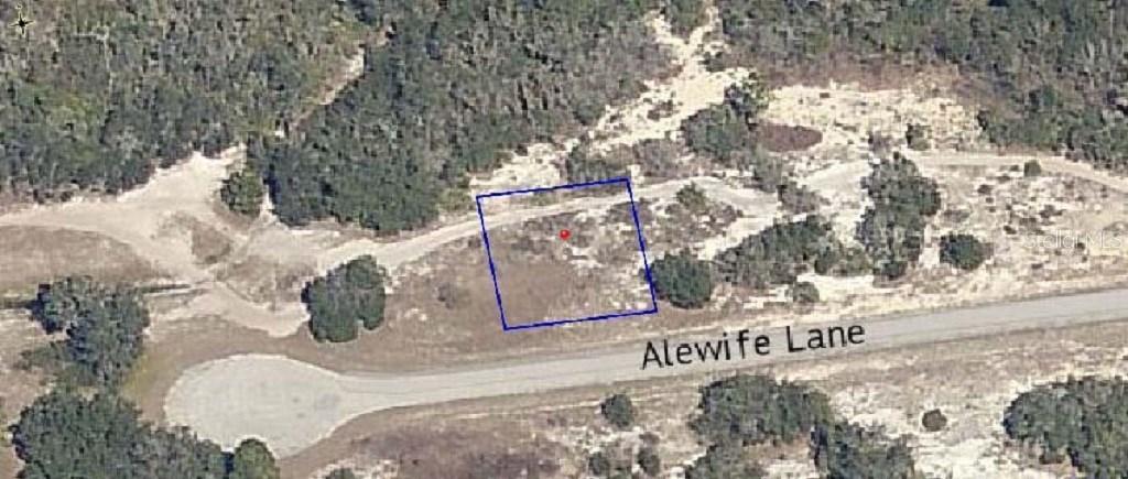 Alewife Ln., Poinciana, FL 34759