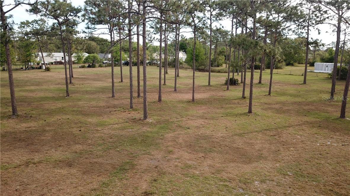 Packard Ave., St. Cloud, FL 34772