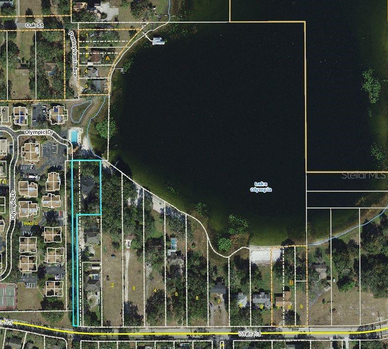 9961 White Rd., Ocoee, FL 34761