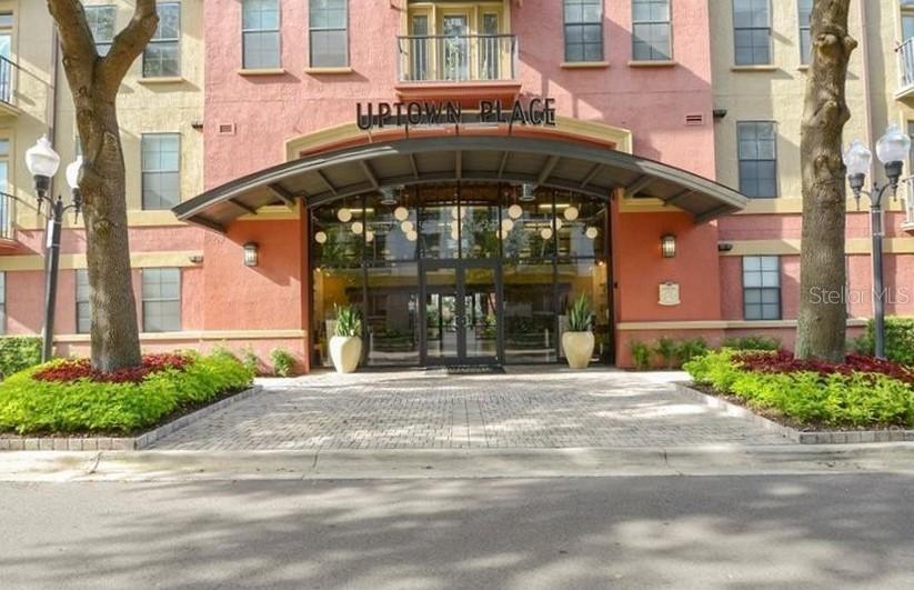 911 N Orange Ave. #231, Orlando, FL 32801