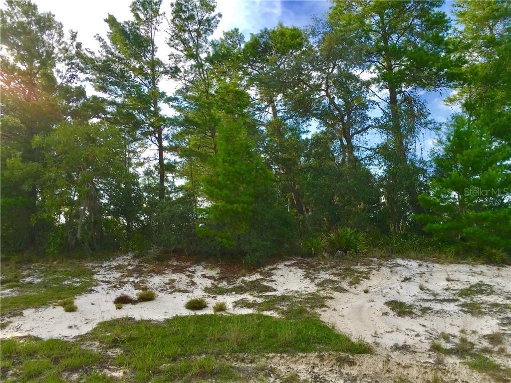 248 Gladiola Ct., Poinciana, FL 34759