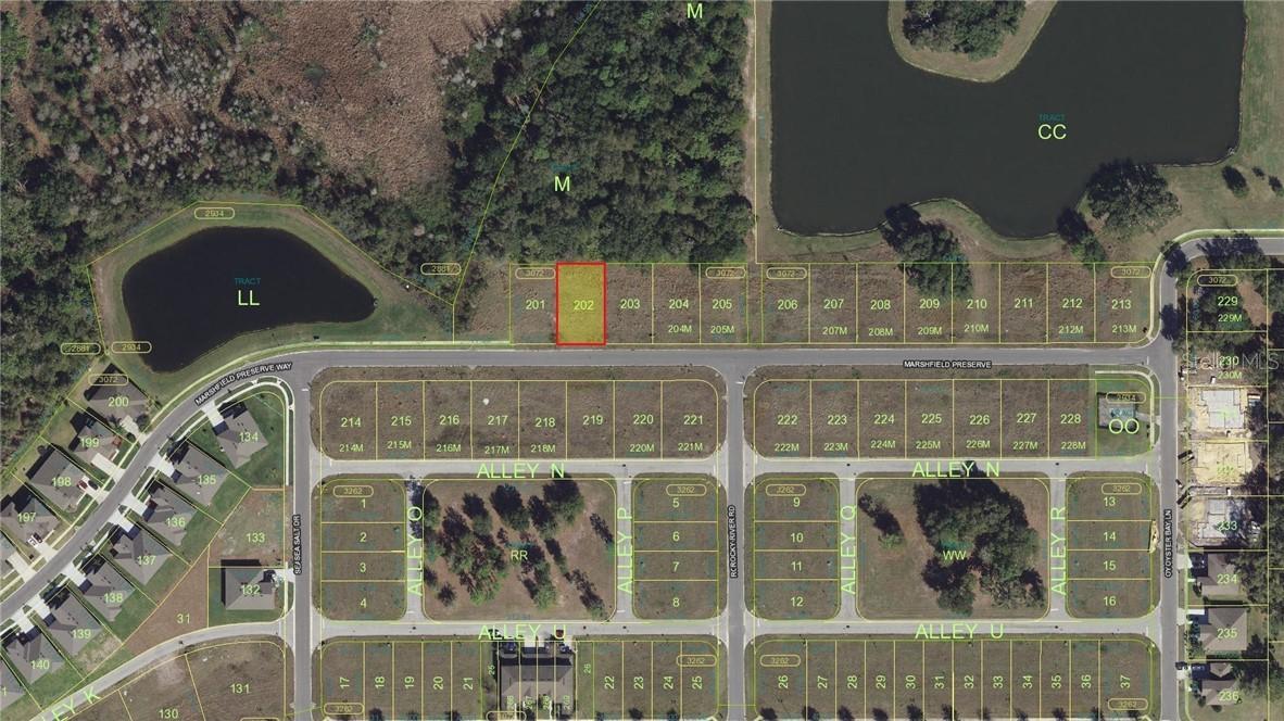 2341 Marshfield Preserve Way, Kissimmee, FL 34746