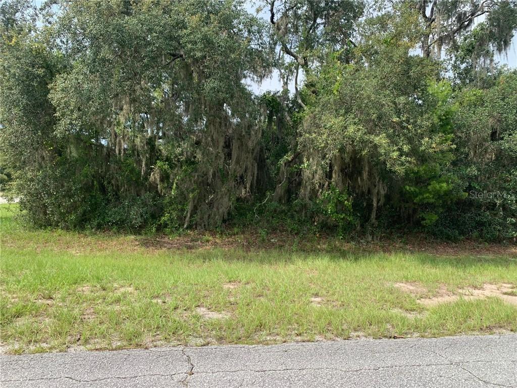 Cordona Dr., Kissimmee, FL 34758