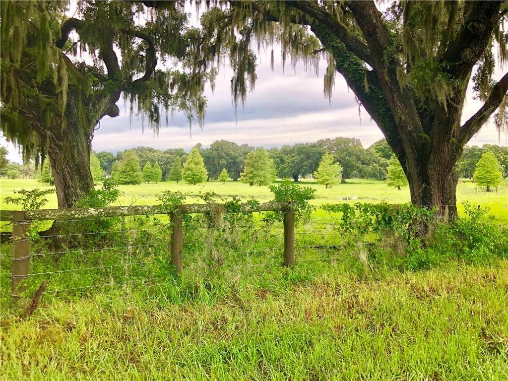 Casteen Rd., Leesburg, FL 34748