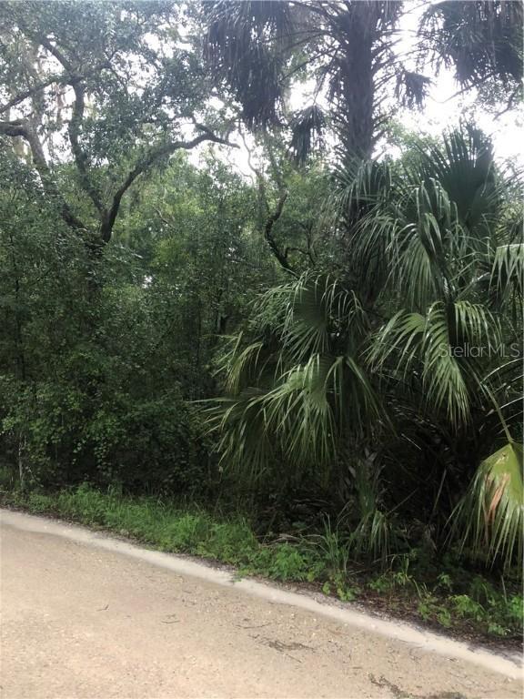 Hamilton Rd., Satsuma, FL 32189