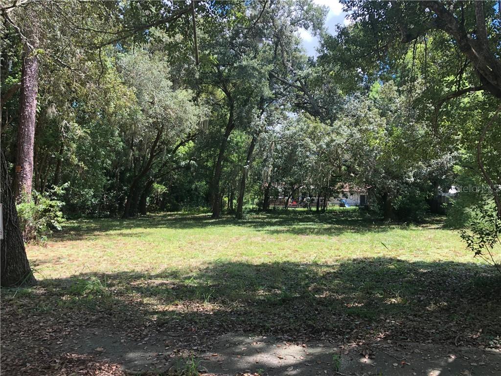 [Address Hidden by Seller], Mount Dora, FL 32757