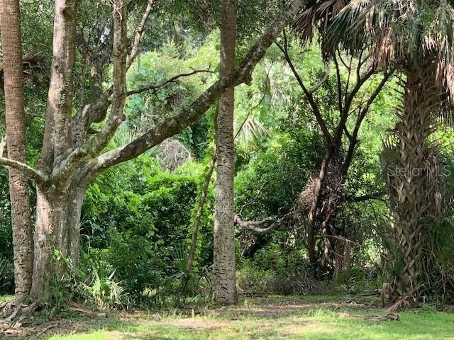 Nursery Off, Oviedo, FL 32765
