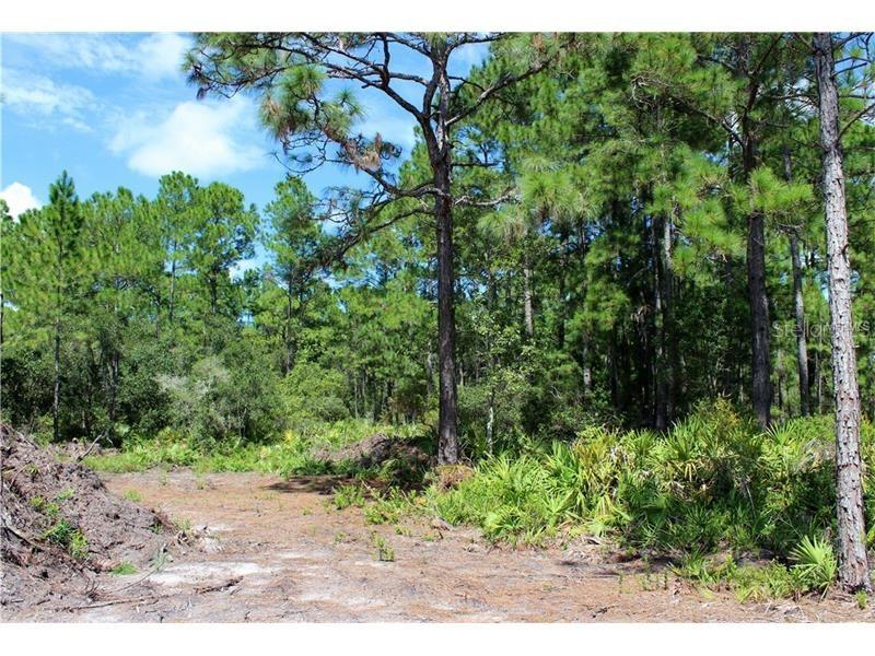 Pine St., Orlando, FL 32824