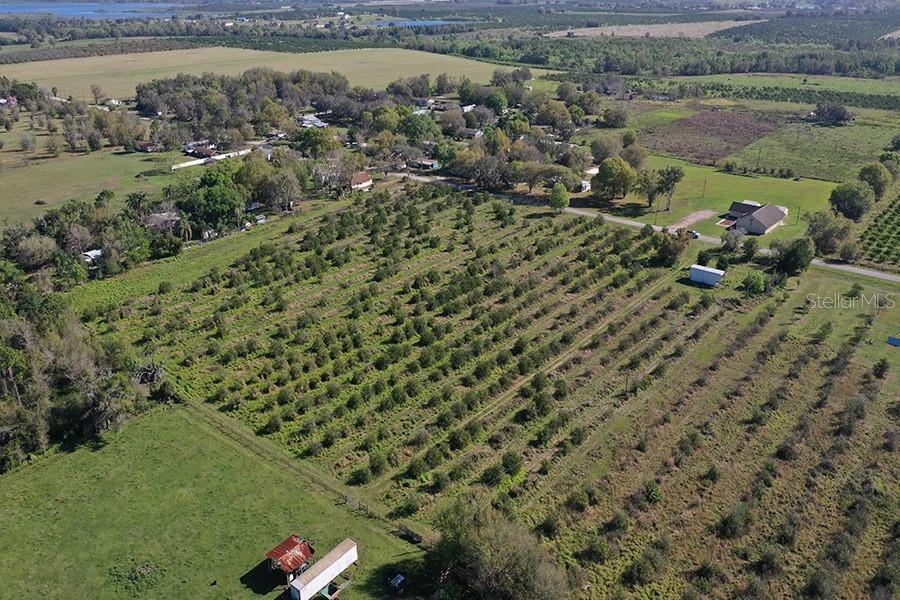 Reynolds Road, Bartow, FL 33830