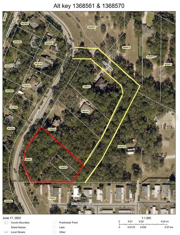 30302 County Road 435, Mount Plymouth, FL 32776