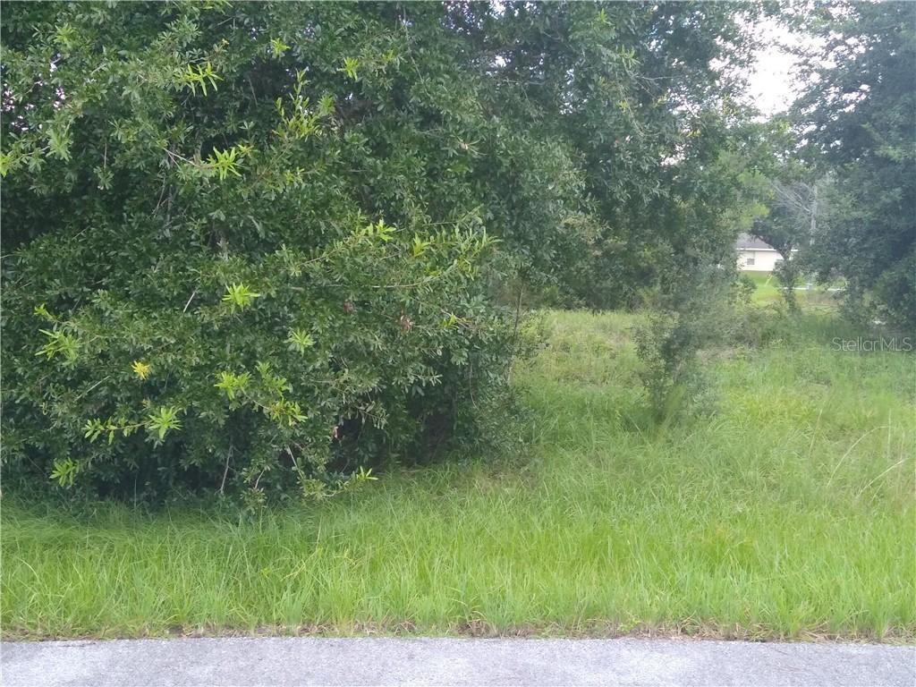 1212 Baltic Dr Way, Poinciana, FL 34759