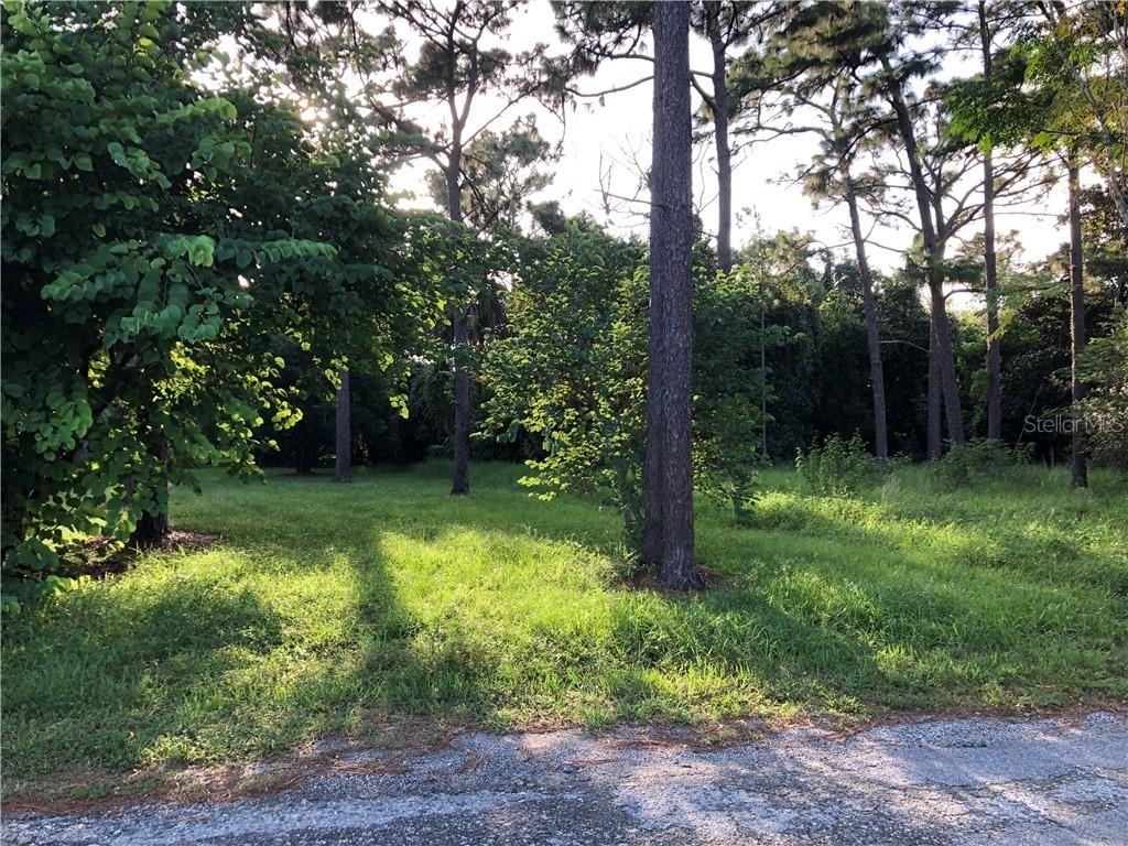 TBD Pine St., Oviedo, FL 32765