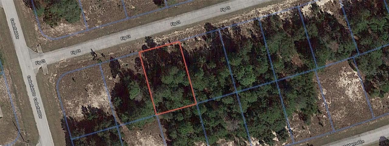 206 Fig Ct., Poinciana, FL 34759
