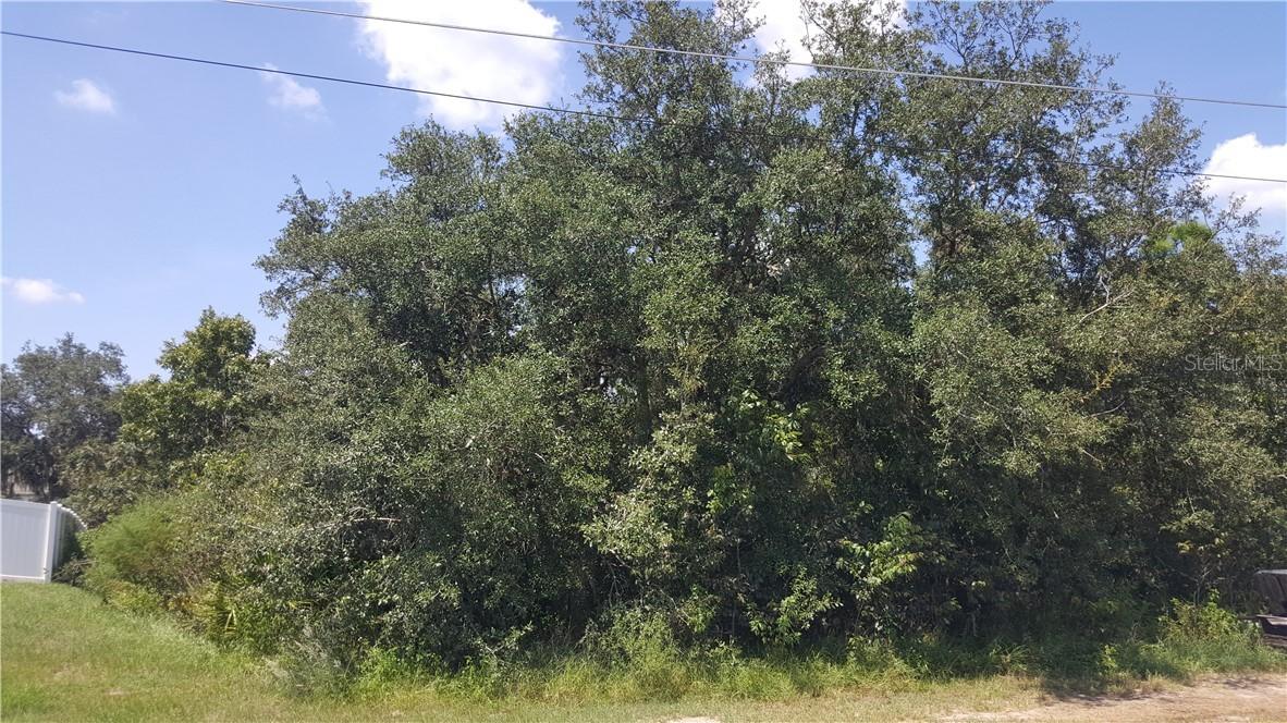 115 Inconnu Ct., Poinciana, FL 34759