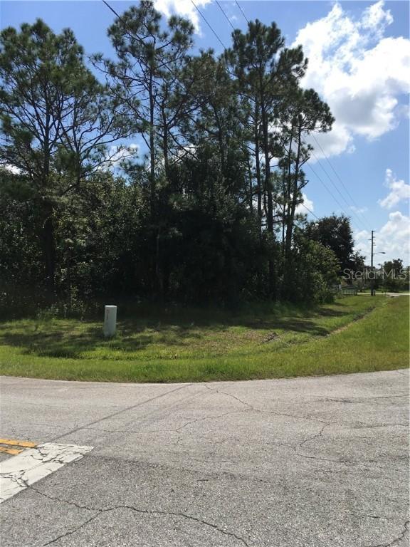 Nancy Ct., Kissimmee, FL 34759