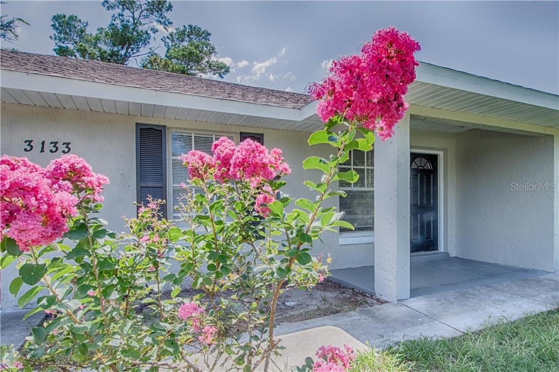 3133 Riverhead Dr., Deltona, FL 32738