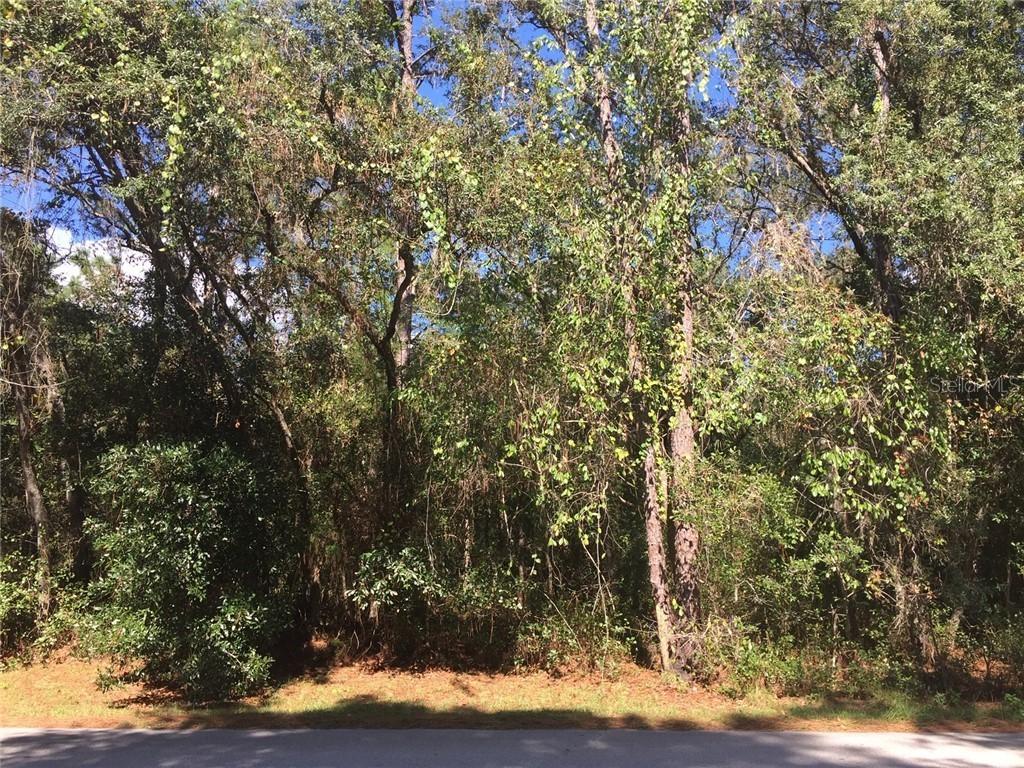 Snow Queen Dr., Chuluota, FL 32766