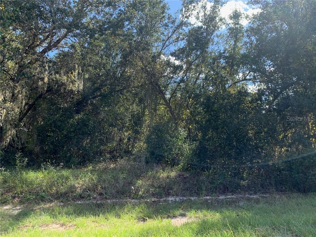 Amberjack Ct., Poinciana, FL 34759