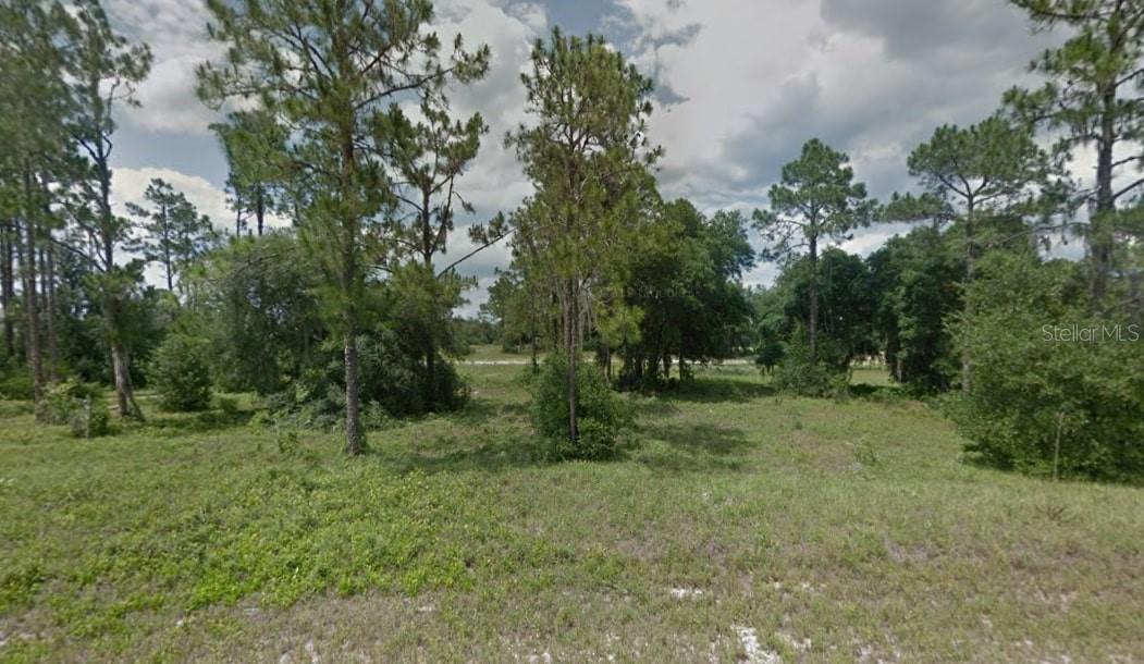 1325 St Augustine Ct., Poinciana, FL 34759