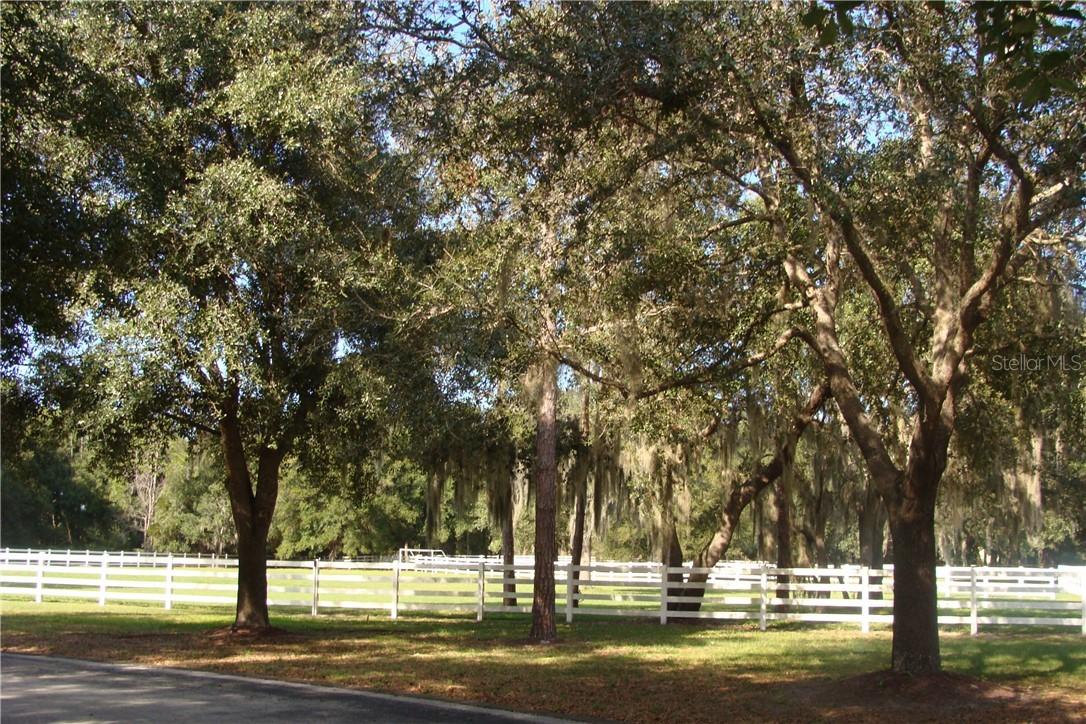 Michigan Street, Lake Mary, FL 32746