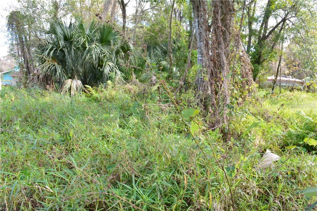 Hawkins Ave., Sanford, FL 32771