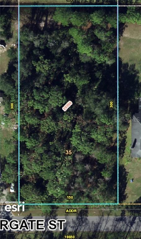 Moorgate St. ##31 A, Orlando, FL 32833