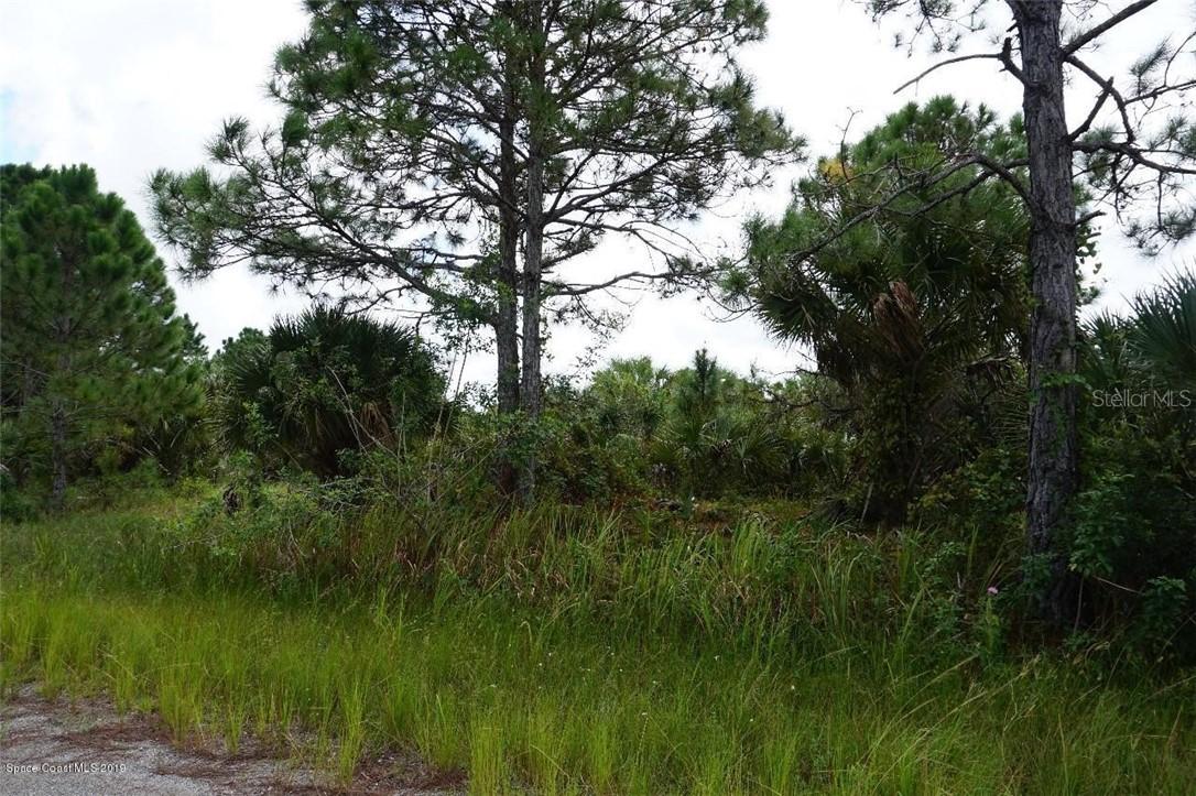 582 Firebrand St., Palm Bay, FL 32908