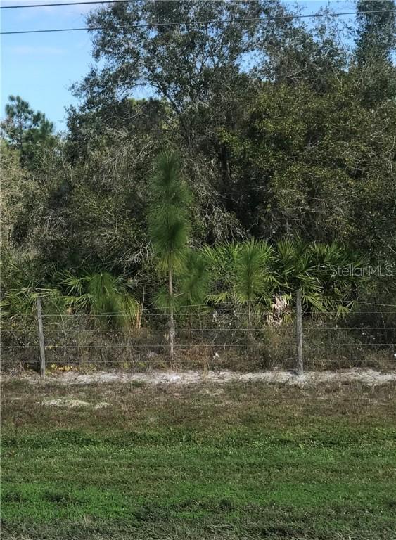 Young Pine Rd., Orlando, FL 32829