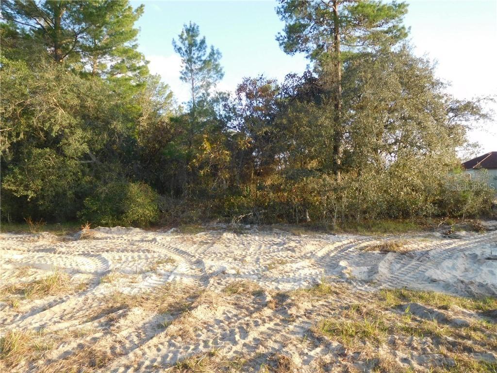 257 Hyacinth Ct., Poinciana, FL 34759