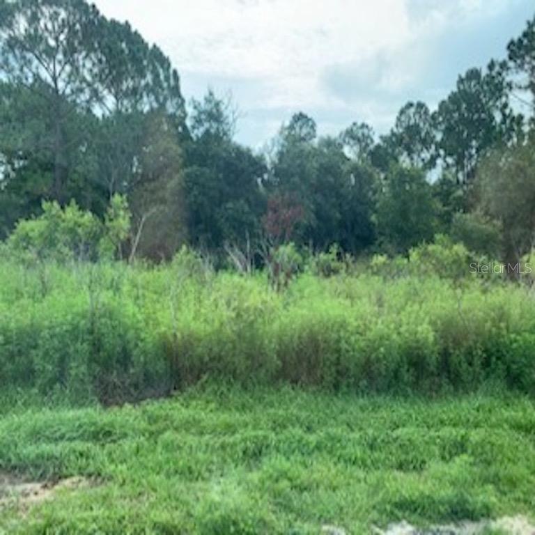 Mediterranean Ct., Kissimmee, FL 34758