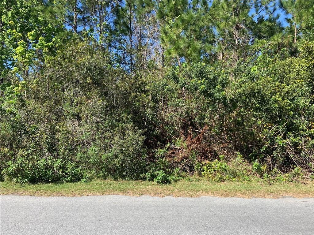 Rosaro Ct., Kissimmee, FL 34758