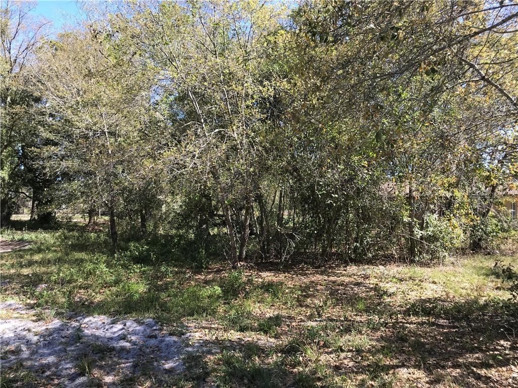 1st St. #Lot 6, Orlando, FL 32824