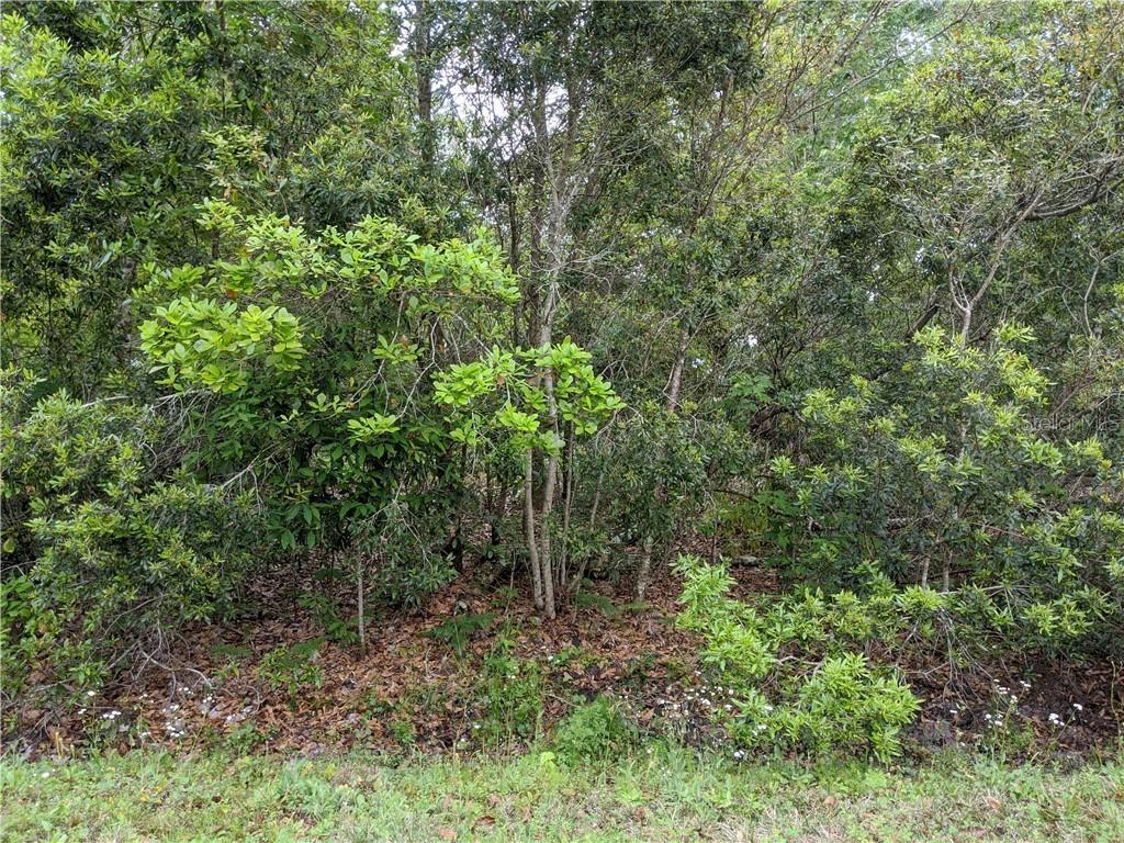 153 Sparrow Ct., Poinciana, FL 34759
