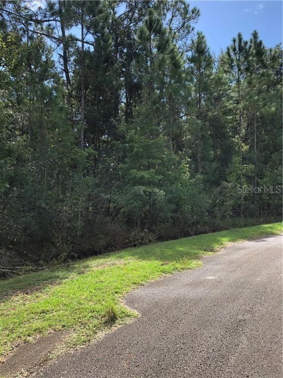 167 Sparrow Ct., Poinciana, FL 34759