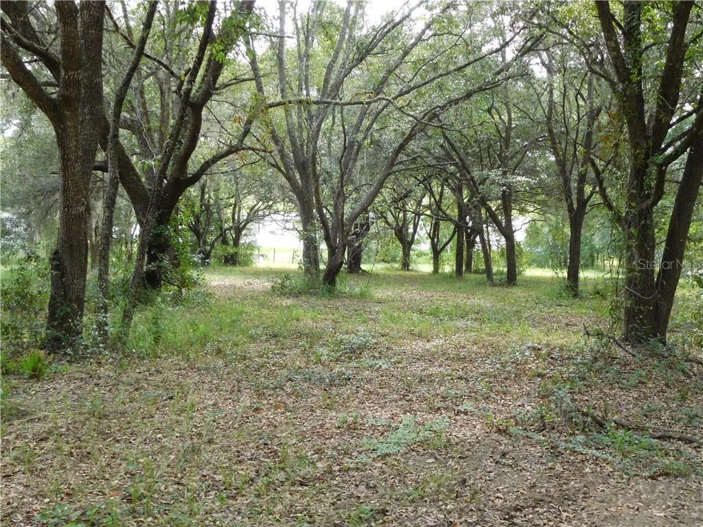 N Em En El Grove Road, Leesburg, FL 34788