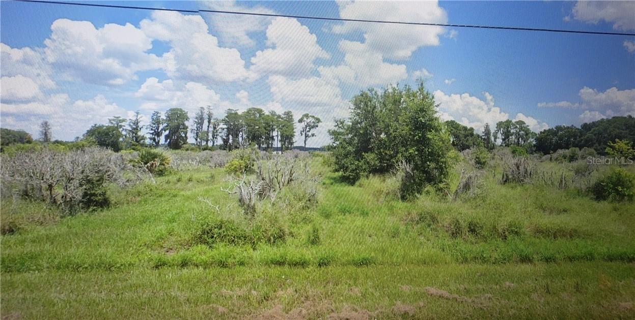 7511 Florida Boys Ranch Rd., Groveland, FL 34736