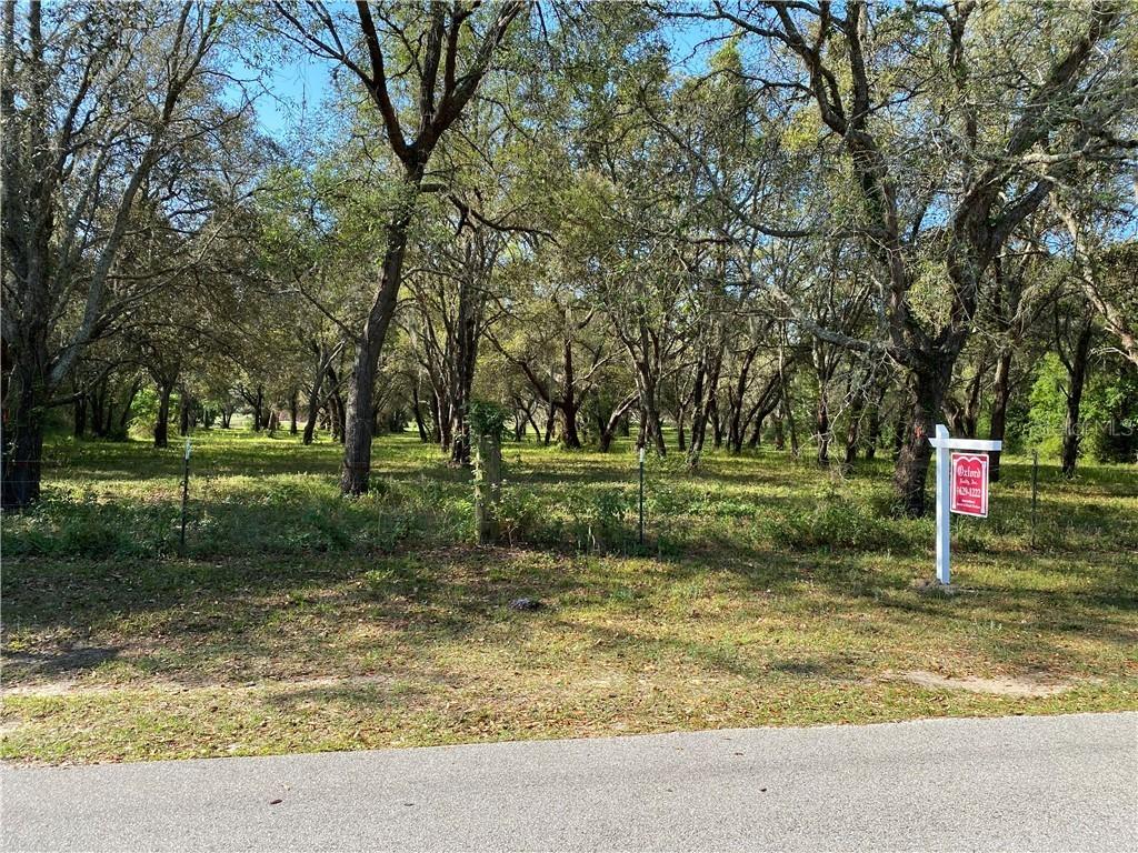 Alps St., Winter Garden, FL 34787