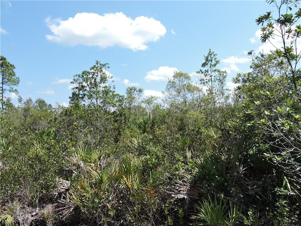 1151 Dill Rd., Orlando, FL 32820