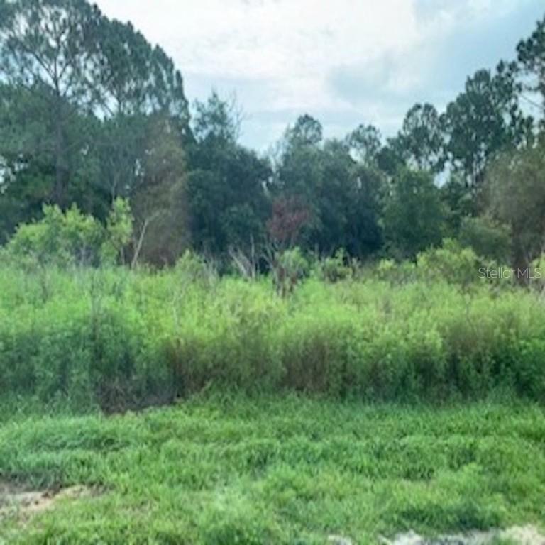 Sebring Way, Poinciana, FL 34759