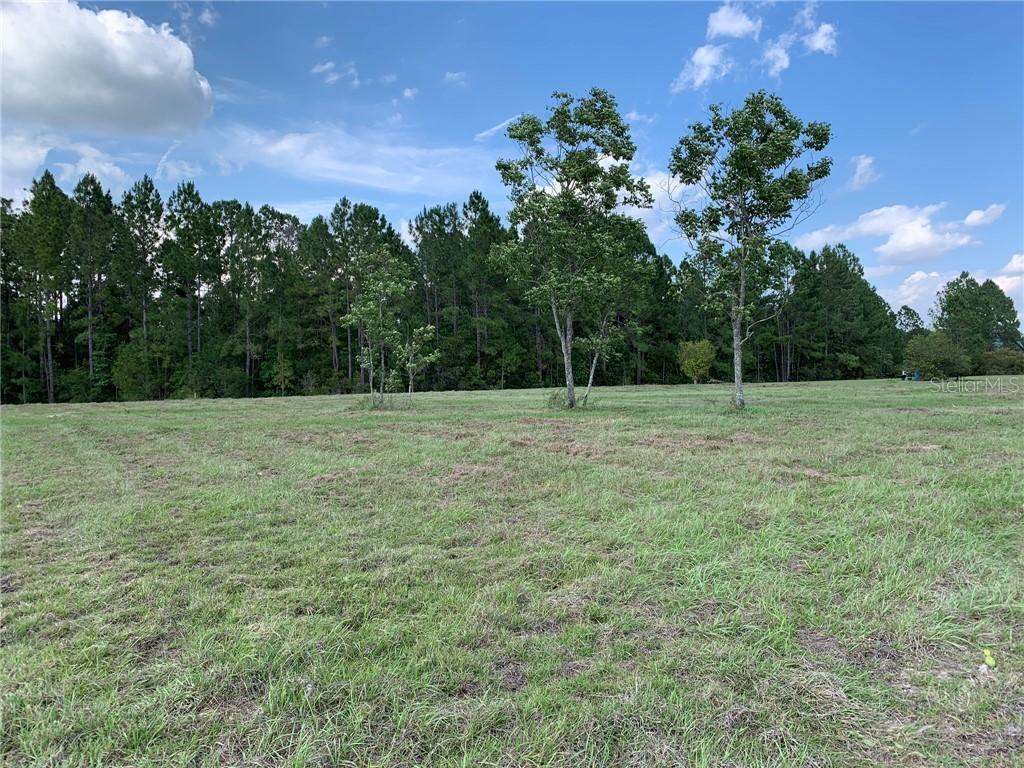Lot 16 Greengrove Blvd., Clermont, FL 34714