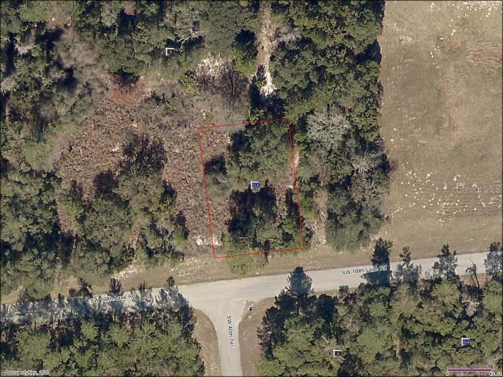 Vacant Land Lot 13, Ocala, FL 34473