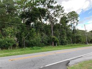 [Address Hidden by Seller], Apopka, FL 32712