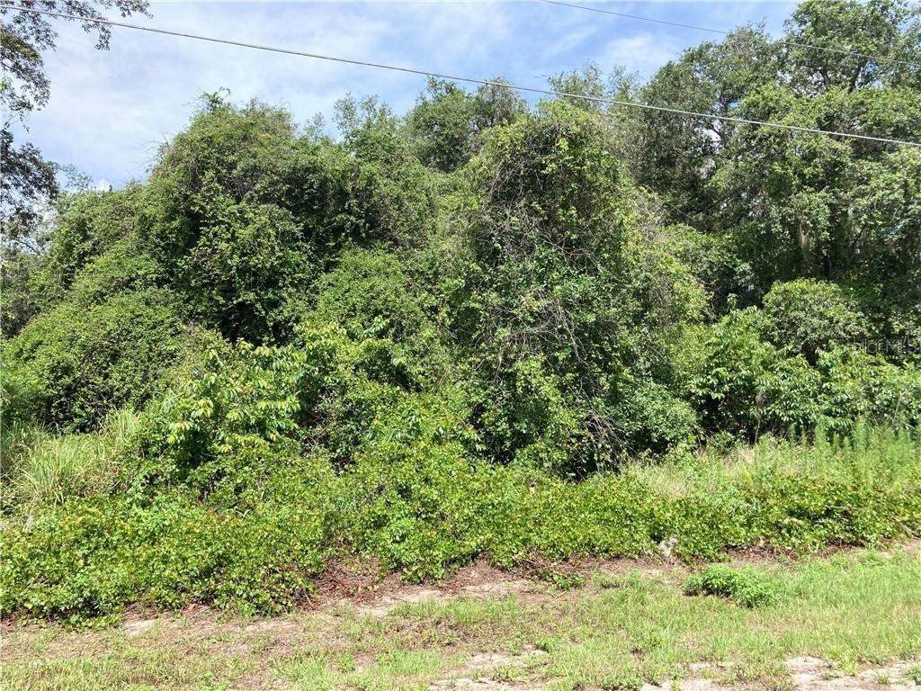 Market St., Groveland, FL 34736