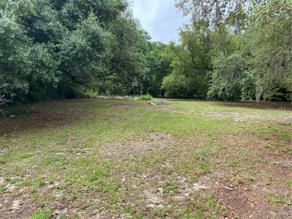 134 W 17th St., Apopka, FL 32703