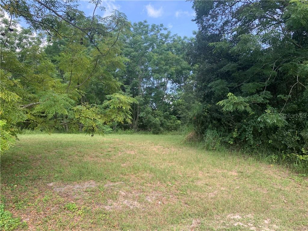 Lot 7 Top Of The Hill Dr., Mount Dora, FL 32757