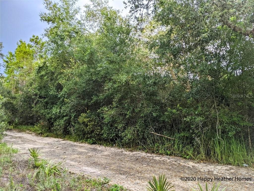 Lois St., Eustis, FL 32736