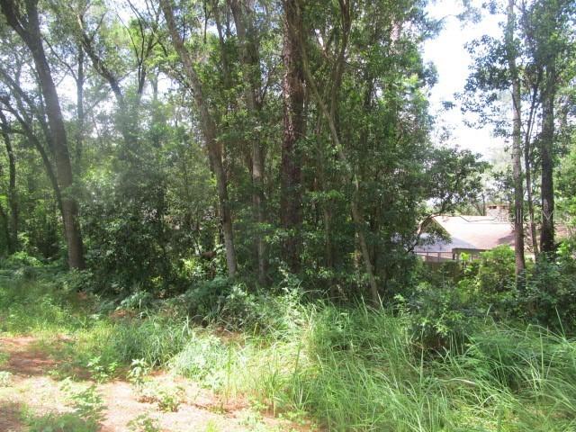 Apawamis Dr., Mount Plymouth, FL 32776