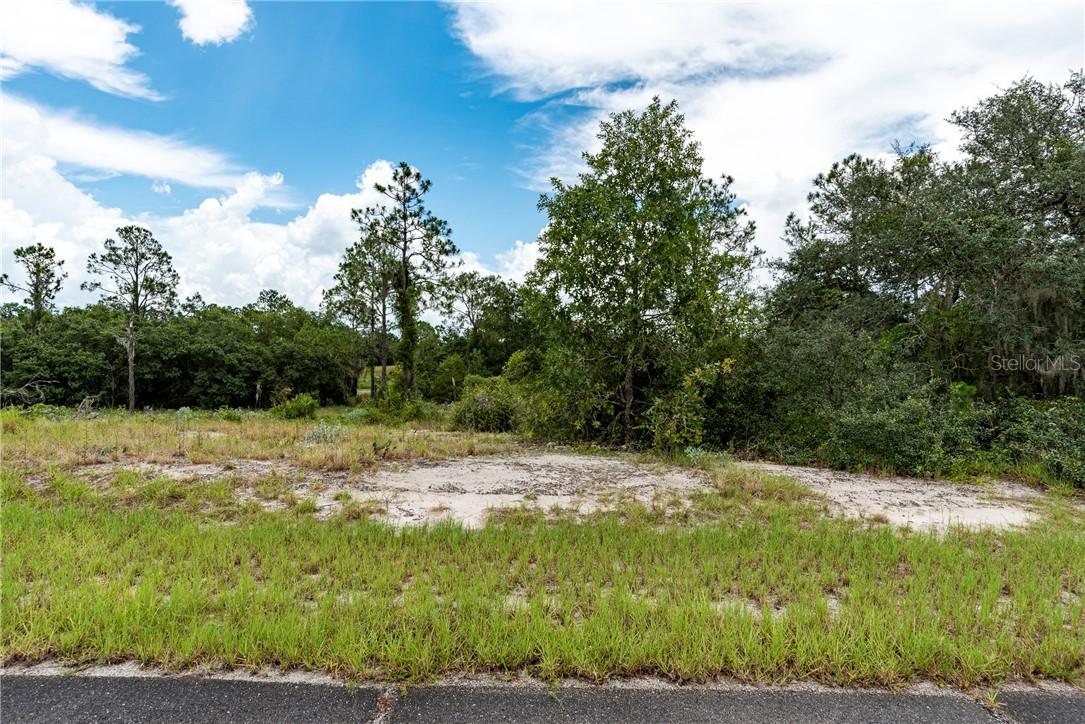 1312 Homosassa Dr., Poinciana, FL 34759