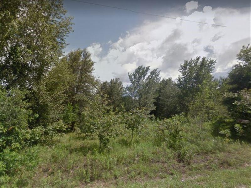 TBD 50th Ave Rd. #9, Ocala, FL 34473