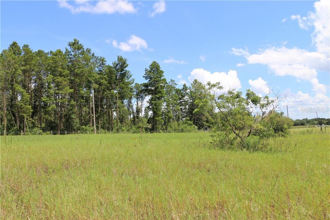 County Road 452, Leesburg, FL 34788